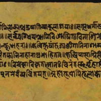 manu_01594811254.jpg